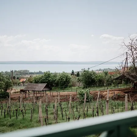 Cukormadar Vendeghaz * Lovas