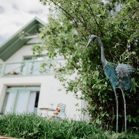 Cukormadar Vendeghaz Lovas