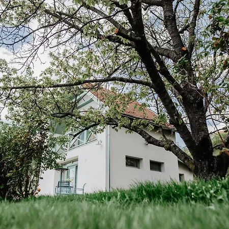 Cukormadar Vendeghaz Villa