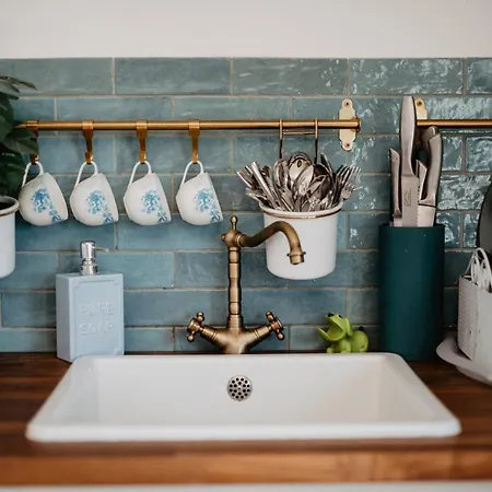 Cukormadar Vendeghaz Lovas